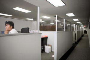 Office cubicles in USA